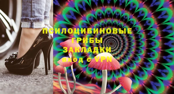 ECSTASY Абаза