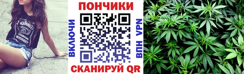 где купить   Дно  Шишки марихуана VHQ 